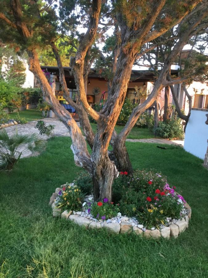 Villa Edo Cala Liberotto Buitenkant foto